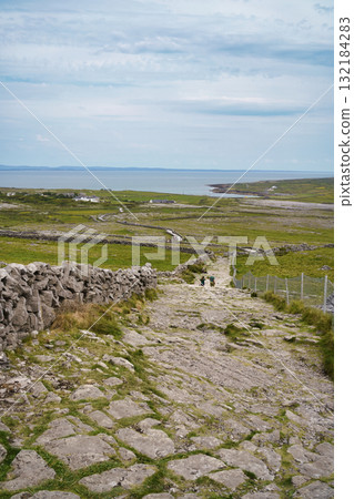 Scenic landscape of Ireland with a stone path leading through green fields towards the sea. 132184283