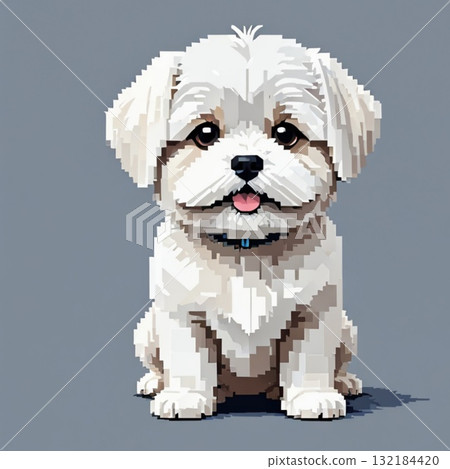 可愛的像素藝術馬耳他線郵票風格 132184420