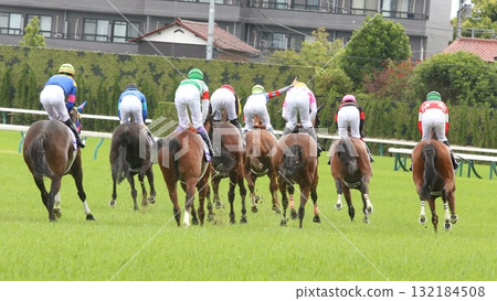 賽馬完賽後的背影照片 賽馬完賽後的背影照片 132184508