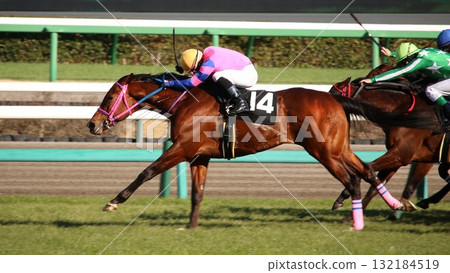 The decisive moment when a racehorse pulls away from the other horses just before the finish line 132184519