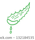 Minimal aloe vera illustration 132184535