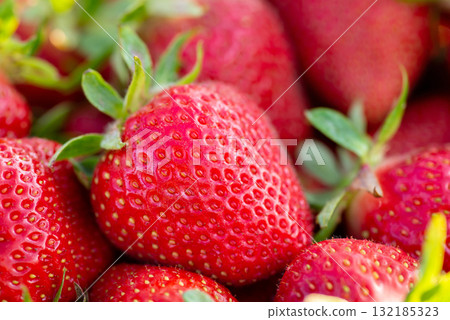 Agriculture, harvest, food concept. Red strawberries with green sepals, berries for sweet dessert. 132185323