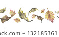 Autumn dry leaves seamless border. Hand painted watercolor illustration. Natural fall foliage design for wrapping paper, fabric and seasonal decoration 132185361