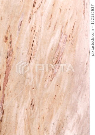 Natural wood texture background with soft tones and subtle patterns for design with copy space 132185637