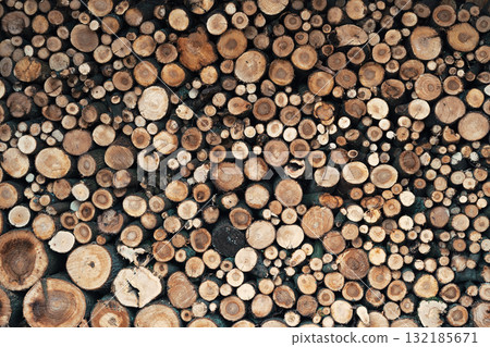 Natural wood texture background with various tree rings and copy space for design elements 132185671