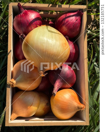 Onions raw vegetables in the box 132185751