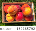 Peach ripe juicy tasty fruits 132185792