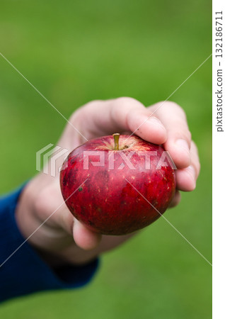 Hand holding a ripe red apple against a green background 132186711