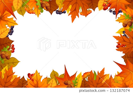 Thanksgiving day and autumn season leaves harvest frame with colorful fall leaves, berries, and acorns. Cartoon vector blank border for seasonal greetings, invitations or festive fall messages Thanksgiving day and autumn season leaves harvest frame with colorful fall leaves, berries, and acorns. Cartoon vector blank border for seasonal greetings, invitations or festive fall messages 132187074