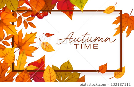Autumn poster or greeting card with fall leaves and border frame of orange, red and yellow oak, maple and birch seasonal foliage. Autumn time season vector banner with frame of maple and oak leaves 132187111
