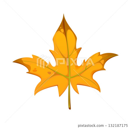 Cartoon autumn yellow maple leaf with brown spots, sharp lobes and veins. Symbol of fall season, nature change and wild forest flora. Vector natural forest tree element for seasonal decor Cartoon autumn yellow maple leaf with brown spots, sharp lobes and veins. Symbol of fall season, nature change and wild forest flora. Vector natural forest tree element for seasonal decor 132187175