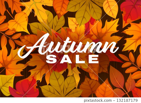 Autumn sale banner with fall red, orange, red and brown leaves of maple, oak, chestnut, and birch foliage background. Seasonal sale discount and promo design of autumn sale banner with autumnal leaves Autumn sale banner with fall red, orange, red and brown leaves of maple, oak, chestnut, and birch foliage background. Seasonal sale discount and promo design of autumn sale banner with autumnal leaves 132187179