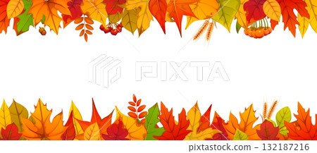 Autumn foliage vector border frame with berries and acorns, oak, maple, aspen and birch leaves in red, orange, brown and yellow colors. Autumn fall seasonal border. Template with cartoon foliage 132187216