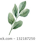 Watercolor Green Leaf Branch Botanical Illustration Natural Handpainted Foliage Design Minimal Elegant Plant Art for Eco Decor 132187250
