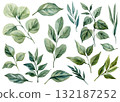 Watercolor Green Leaves Set Botanical Eucalyptus Foliage Collection Natural Handpainted Plant Illustration for Floral Design 132187252