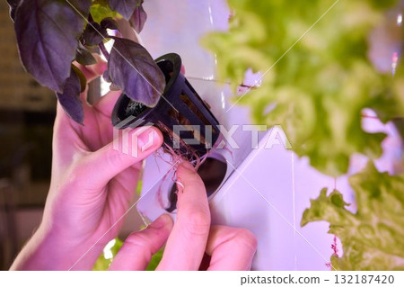 Innovative Hydroponics An Exciting Method for Growing Fresh Vegetables in Urban Spaces Innovative Hydroponics An Exciting Method for Growing Fresh Vegetables in Urban Spaces 132187420