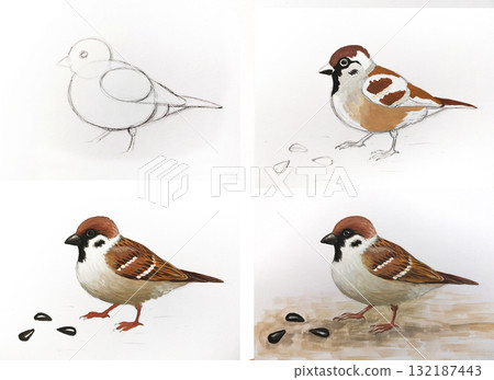 Sparrow drawing tutorial for children. Bird painting guide childish art. Education school project creativity hobby. Light background illustration Sparrow drawing tutorial for children. Bird painting guide childish art. Education school project creativity hobby. Light background illustration 132187443