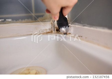Removing mold from your shower corners is vital for a healthy and clean bathroom Removing mold from your shower corners is vital for a healthy and clean bathroom 132187456