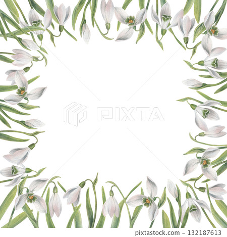 Gently square frame of snowdrop flowers. Watercolor illustration hand drawn and isolated on a white background. Ideal for decorating postcards, wedding invitations or other celebrations, posters, etc 132187613