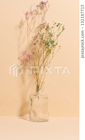 A minimalist composition with sprigs of painted gypsophila in a clear glass vase 132187715