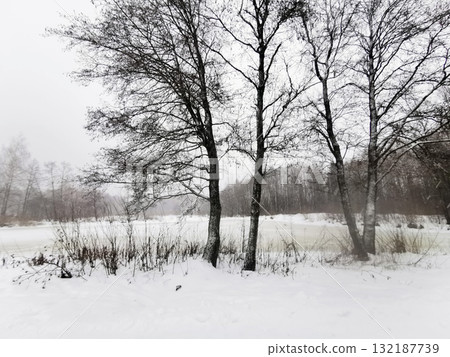 Snowy landscape with frozen river in background surrounded by leafless trees and snow foreground. Ideal for winter blogs. Snowy landscape with frozen river in background surrounded by leafless trees and snow foreground. Ideal for winter blogs. 132187739