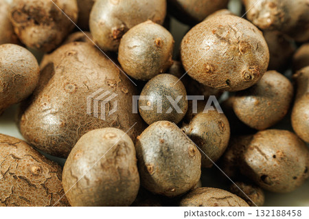 採摘的野生菇 採摘的野生菇 132188458