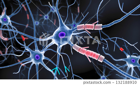Three-dimensional image of nerve cells (neurons) with damaged myelin sheath. Concept of multiple sclerosis or other neurodegenerative diseases. Three-dimensional image of nerve cells (neurons) with damaged myelin sheath. Concept of multiple sclerosis or other neurodegenerative diseases. 132188910