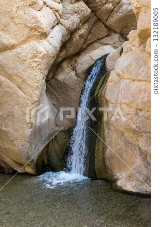 Source of water and pond at Chebika, Tunisia Source of water and pond at Chebika, Tunisia 132189005