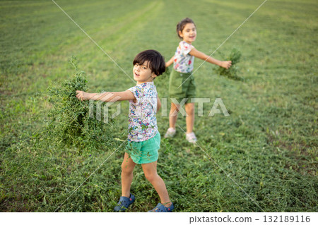 two happy small girls playing with green grass on the field 132189116