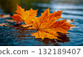 A single orange leaf floating on top of a body of water 132189407