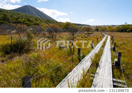 Autumn leaves in the Numappara Marsh in Nasu, Tochigi Prefecture Autumn leaves in the Numappara Marsh in Nasu, Tochigi Prefecture 132189678