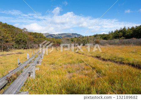 Autumn leaves in the Numappara Marsh in Nasu, Tochigi Prefecture Autumn leaves in the Numappara Marsh in Nasu, Tochigi Prefecture 132189682