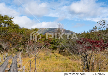 栃木縣那須市沼原濕原的紅葉 132189687