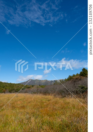 Autumn leaves in the Numappara Marsh in Nasu, Tochigi Prefecture Autumn leaves in the Numappara Marsh in Nasu, Tochigi Prefecture 132189706