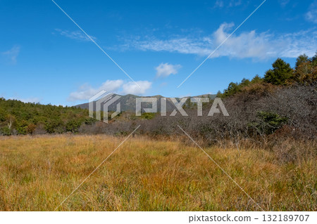 Autumn leaves in the Numappara Marsh in Nasu, Tochigi Prefecture Autumn leaves in the Numappara Marsh in Nasu, Tochigi Prefecture 132189707