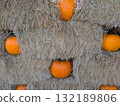 Bright orange pumpkins nestled in hay bales create a rustic autumn harvest display full of seasonal charm 132189806