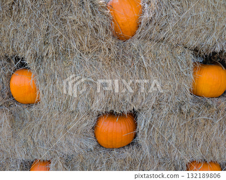 Bright orange pumpkins nestled in hay bales create a rustic autumn harvest display full of seasonal charm Bright orange pumpkins nestled in hay bales create a rustic autumn harvest display full of seasonal charm 132189806