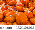 A colorful collection of small orange pumpkins symbolizes the beauty of autumn harvest and festive traditions 132189808