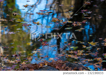 Reflections on the water surface and fallen leaves (Bungo-Ono City, Oita Prefecture) Reflections on the water surface and fallen leaves (Bungo-Ono City, Oita Prefecture) 132190033