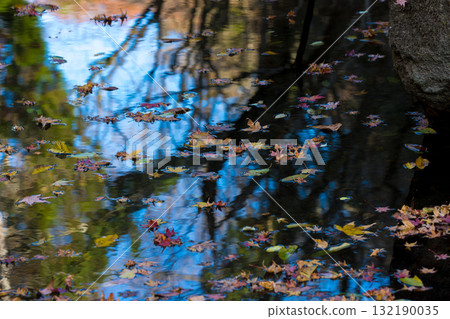 Reflections on the water surface and fallen leaves (Bungo-Ono City, Oita Prefecture) Reflections on the water surface and fallen leaves (Bungo-Ono City, Oita Prefecture) 132190035