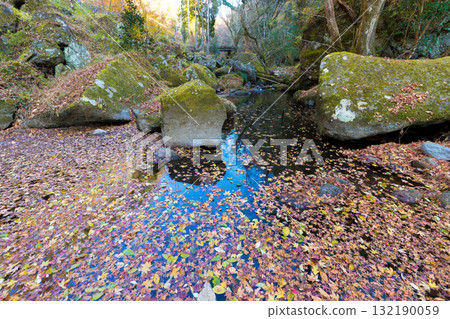 Valley and fallen leaves (Bungo-Ono City, Oita Prefecture) Valley and fallen leaves (Bungo-Ono City, Oita Prefecture) 132190059
