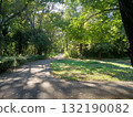 Forest Road 132190082