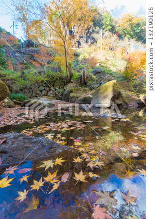Autumn leaves in Kankakuji Valley (Bungo Ono City, Oita Prefecture) Autumn leaves in Kankakuji Valley (Bungo Ono City, Oita Prefecture) 132190128