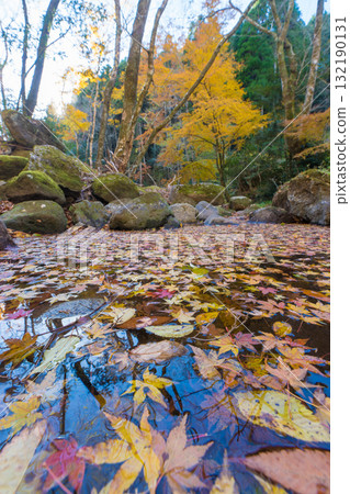 Autumn leaves in Kankakuji Valley (Bungo Ono City, Oita Prefecture) Autumn leaves in Kankakuji Valley (Bungo Ono City, Oita Prefecture) 132190131