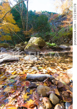 Autumn leaves in Kankakuji Valley (Bungo Ono City, Oita Prefecture) 132190178