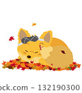 秋天，一隻毛絨狐狸睡在落葉毯子上的插圖 132190300