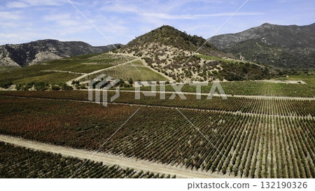 Aerial view of autumnal vineyard in mountain valley 132190326