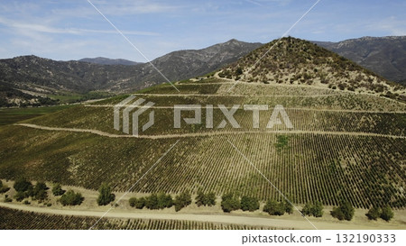 Aerial view of terraced vineyards growing on mountain slopes Aerial view of terraced vineyards growing on mountain slopes 132190333