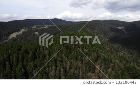 Evergreen forest covering mountain range under cloudy sky. Media Evergreen forest covering mountain range under cloudy sky. Media 132190442