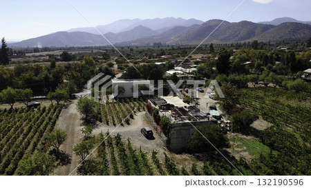 Aerial view orbiting modern winery and vineyard 132190596